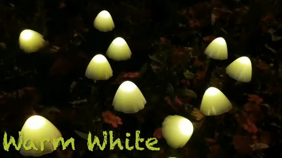 2700K IP55 تعمل بالطاقة الشمسية سلسلة أضواء LED / أضواء حديقة الفطر الشمسية الزفاف احتفالية الديكور